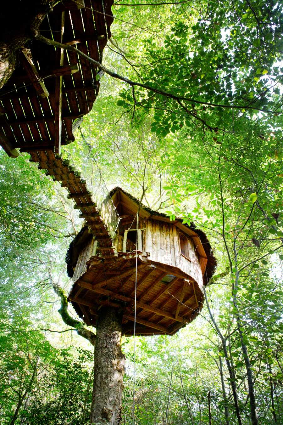 Bon cadeau Passion 2 pers 165 Euros Cabane dans les arbres ou