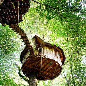 Cabane dans les arbres en Nouvelle-Aquitaine, perchée au cœur dune forêt verdoyante.