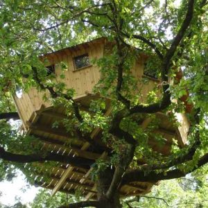 Cabane perchée dans un arbre en Bretagne, entourée de feuillage verdoyant.