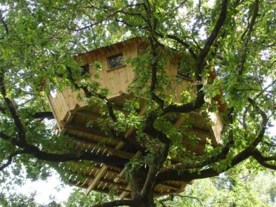 Cabane perchée dans un arbre en Bretagne, entourée de feuillage verdoyant.