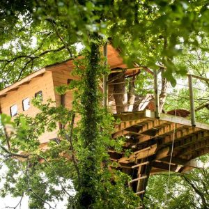 Cabane perchée dans les arbres en Bretagne, entourée de verdure luxuriante.