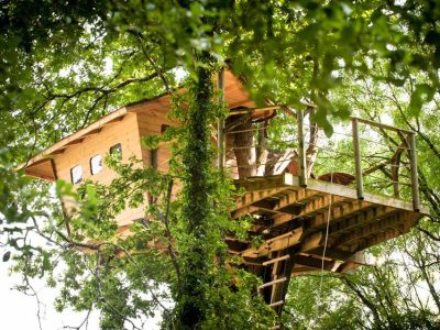 Cabane perchée dans les arbres en Bretagne, entourée de verdure luxuriante.