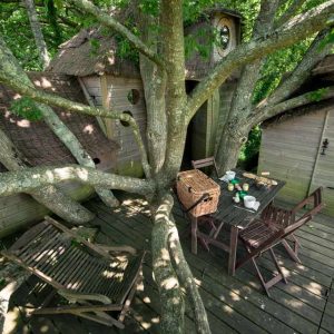 Cabane perchée dans un arbre en Bretagne, avec une terrasse entourée de branches.