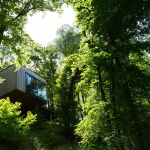 Cabane perchée en bois, entourée dune verdure luxuriante à Limousin.