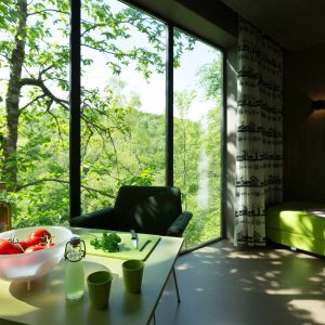 Hébergement insolite à Limousin : cabane moderne avec vue sur la nature verdoyante.