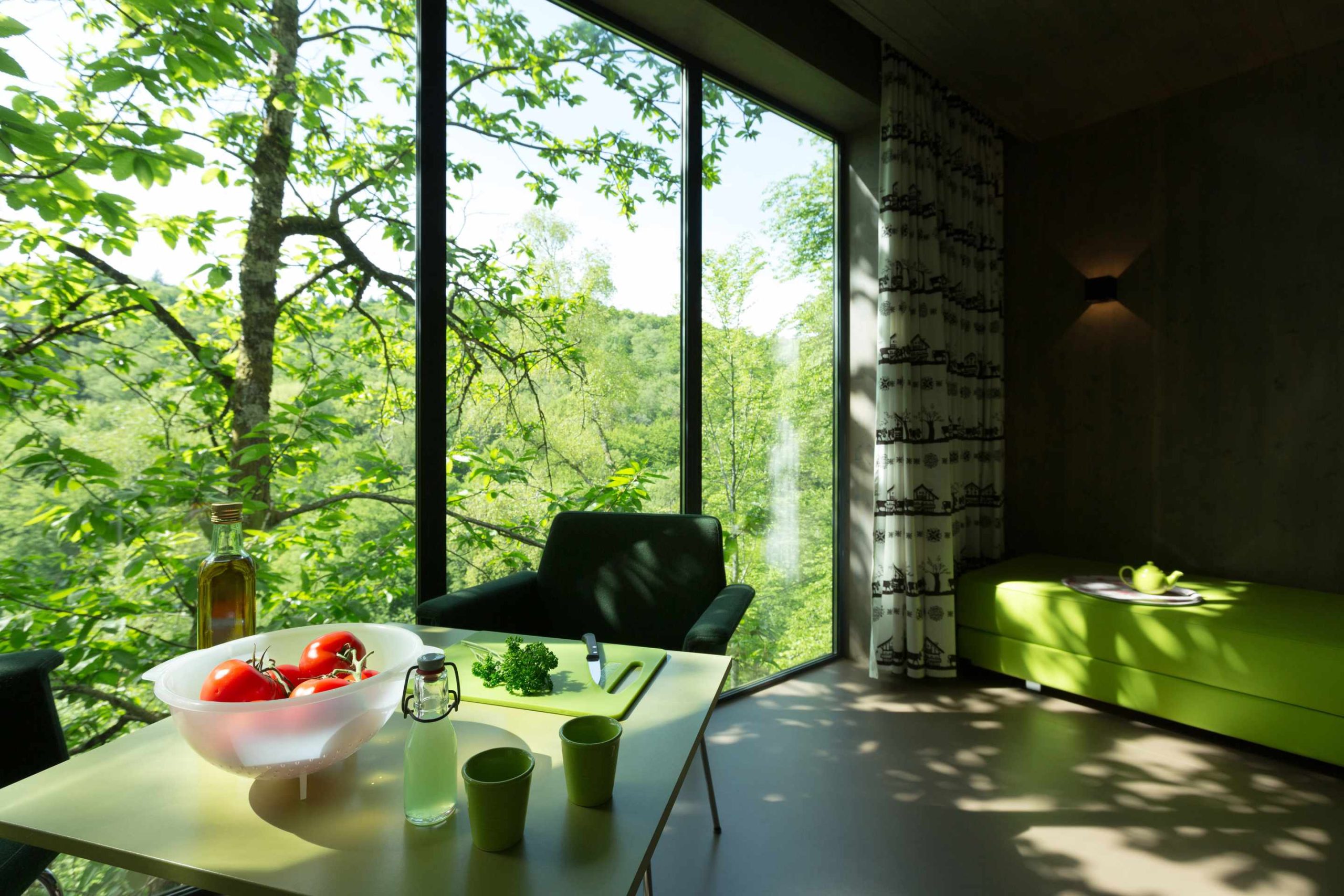 E98A1134 Hébergement insolite à Limousin : cabane moderne avec vue sur la nature verdoyante.