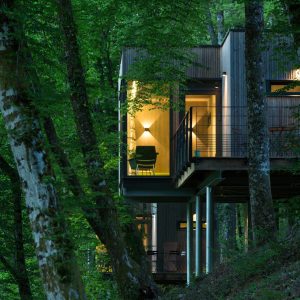 Cabane perchée dans les arbres, entourée de verdure luxuriante au Limousin.