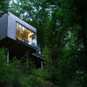 Cabane moderne en bois perchée dans les arbres, entourée de verdure luxuriante.