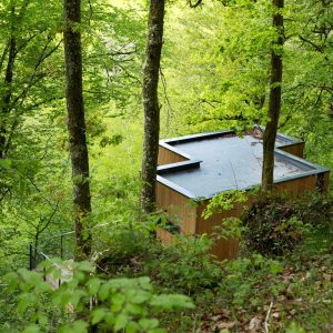 Cabane perchée dans les arbres, entourée de verdure luxuriante au Limousin.