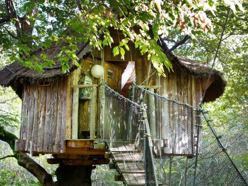 Cabane dans les arbres avec un toit en chaume et un pont suspendu verdoyant.