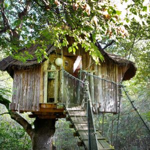 Cabane perchée en bois, accessible par une passerelle, entourée de verdure luxuriante.