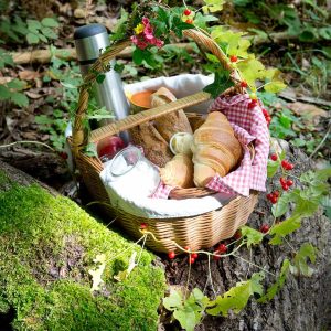 Panier pique-nique sur une souche, entouré de verdure en Nouvelle-Aquitaine.