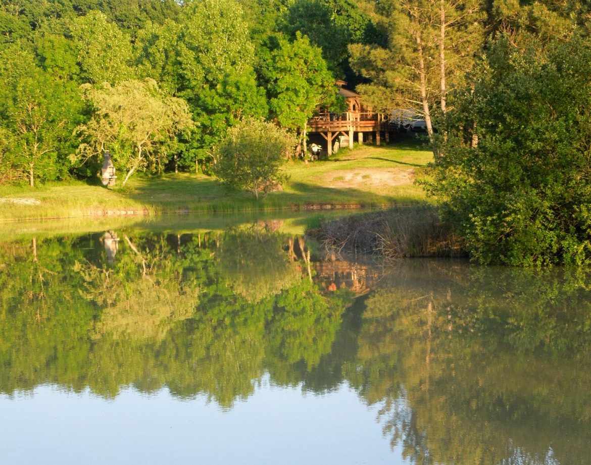 Cabane perchée en Aquitaine, entourée de verdure et reflet sur leau paisible.