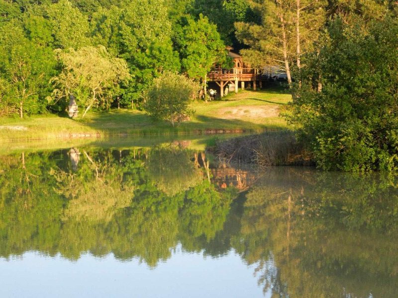 Cabane perchée en Aquitaine, entourée de verdure et reflet sur leau paisible.