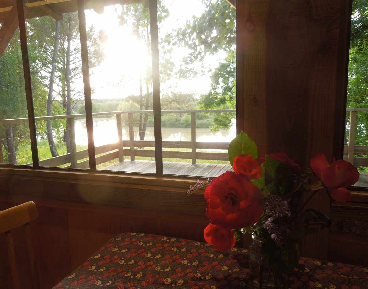 Cabane sur pilotis en Aquitaine, vue sur le lac et fleurs sur la table.