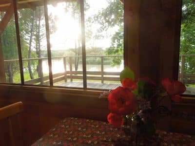 Cabane sur pilotis en Aquitaine, vue sur le lac et fleurs sur la table.