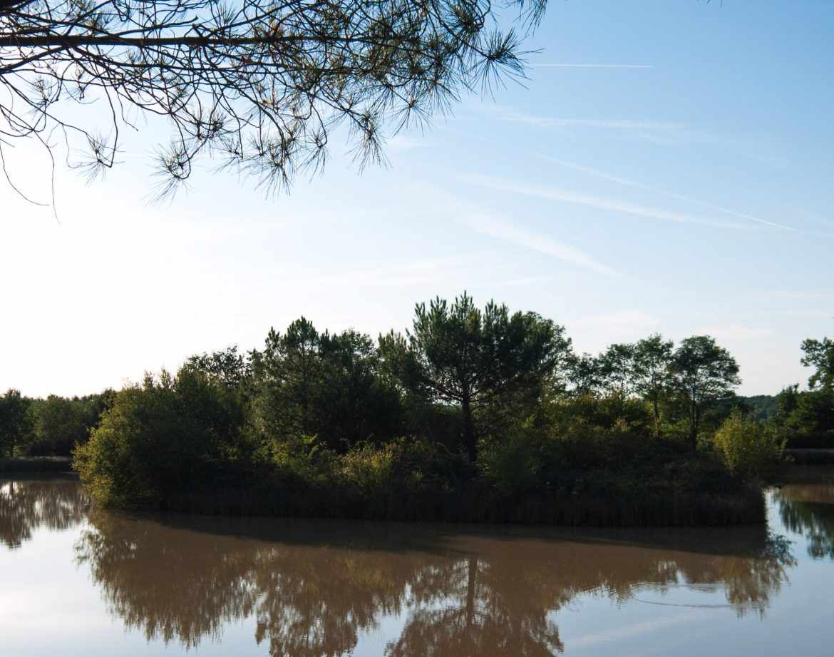Hébergement insolite en Aquitaine, au bord dun lac paisible entouré de verdure.