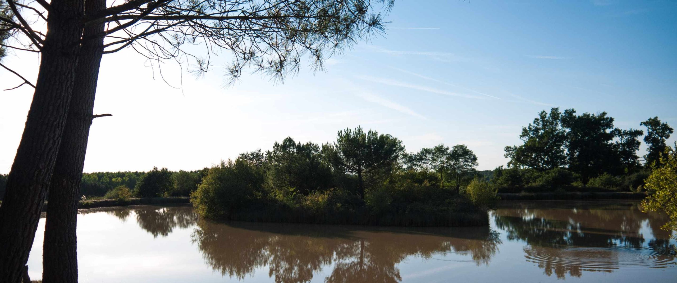 pb_06 Hébergement insolite en Aquitaine, au bord dun lac paisible entouré de verdure.