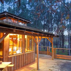 Cabane en bois lumineuse, entourée de forêt, offrant une vue paisible en Aquitaine.