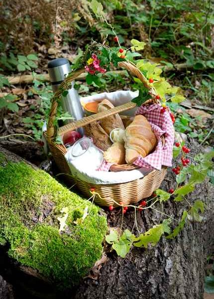 Panier pique-nique en pleine nature, rempli de pains et boissons rafraîchissantes.