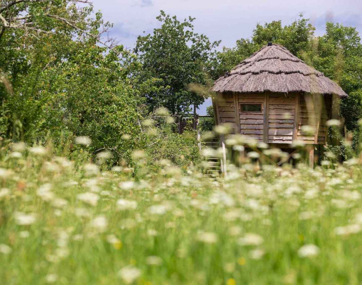 Cabane perchée en bois avec toit de chaume, entourée de fleurs sauvages.
