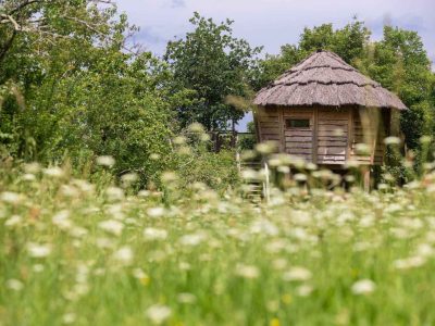 Cabane perchée en bois avec toit de chaume, entourée de fleurs sauvages.