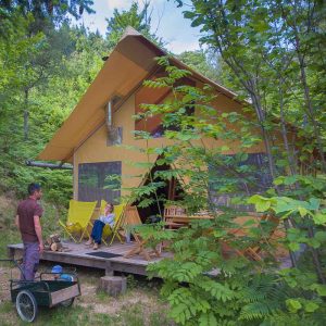 Cabane en bois dans la nature, avec terrasse et chaises jaunes, idéale pour se détendre.