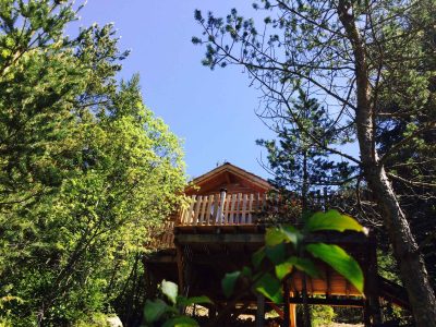 Cabane perchée dans les arbres, entourée de verdure, sous un ciel bleu.