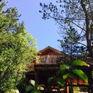 016441489d5d045fc1facb1cecc403d8a2c57269c7