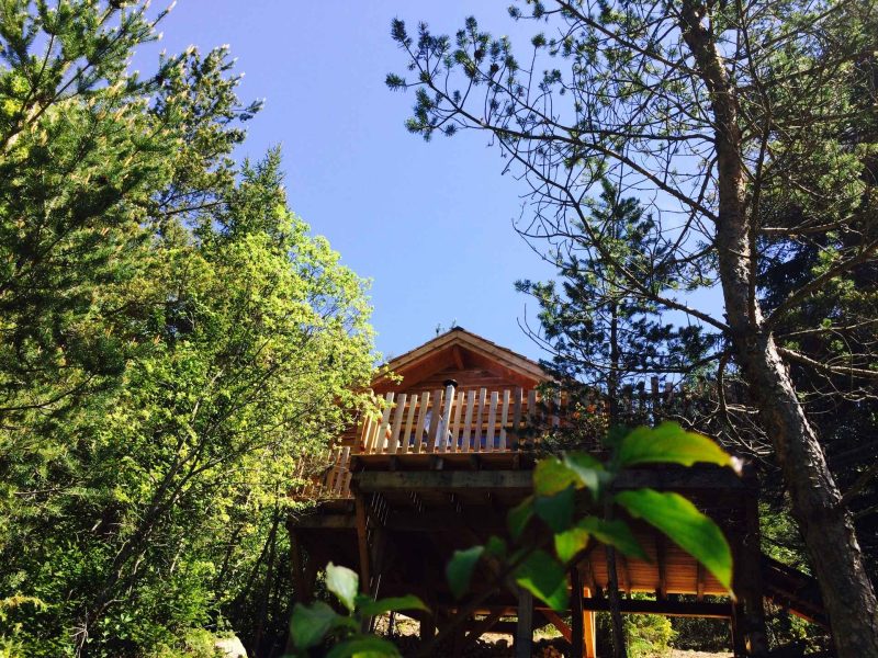 Cabane en bois perchée, entourée darbres verdoyants sous un ciel bleu.