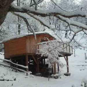 Cabane en bois sur pilotis, entourée de neige et darbres enneigés.