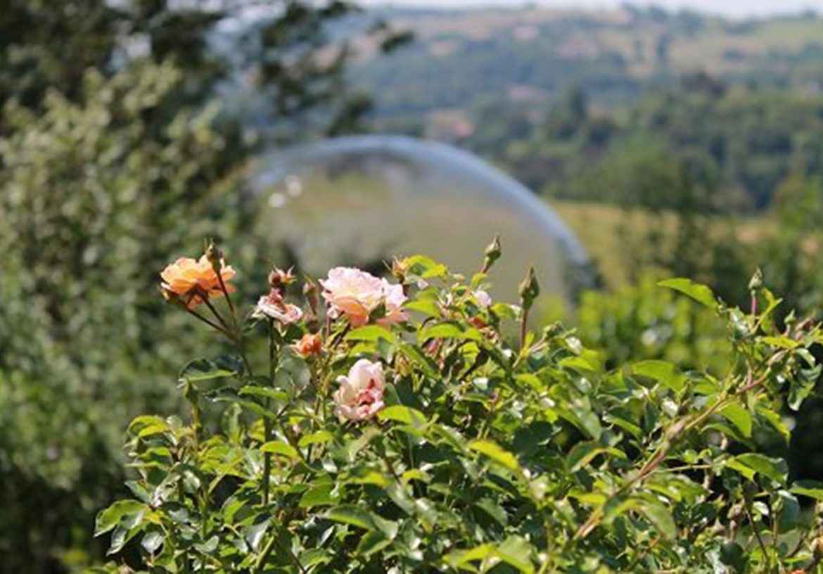 Bulle transparente au milieu de la nature, entourée de fleurs colorées en Auvergne.