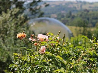 Bulle transparente au milieu de la nature, entourée de fleurs colorées en Auvergne.