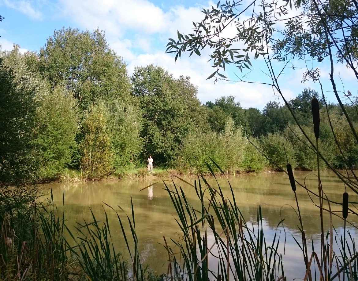 Hébergement insolite en pleine nature, près dun étang entouré darbres verdoyants.