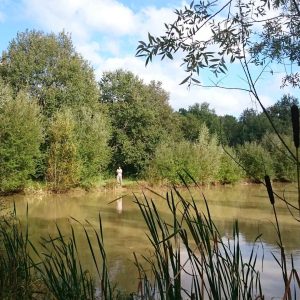 Hébergement insolite en pleine nature, au bord dun étang entouré de verdure.
