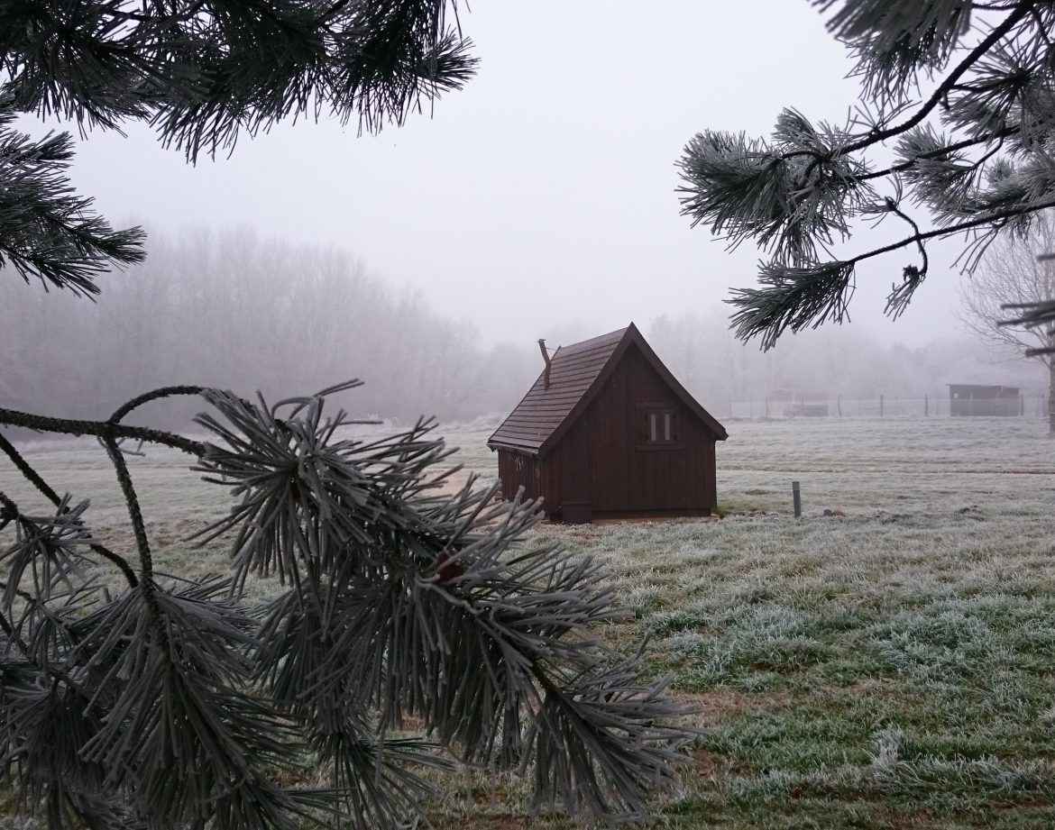 Cabane en bois dans un paysage brumeux, entourée de pins et de givre.