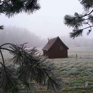 Cabane en bois dans un paysage brumeux, entourée de pins et de givre.