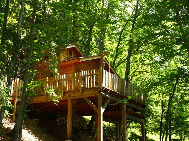 Cabane perchée en bois, entourée darbres verdoyants et lumineuse.