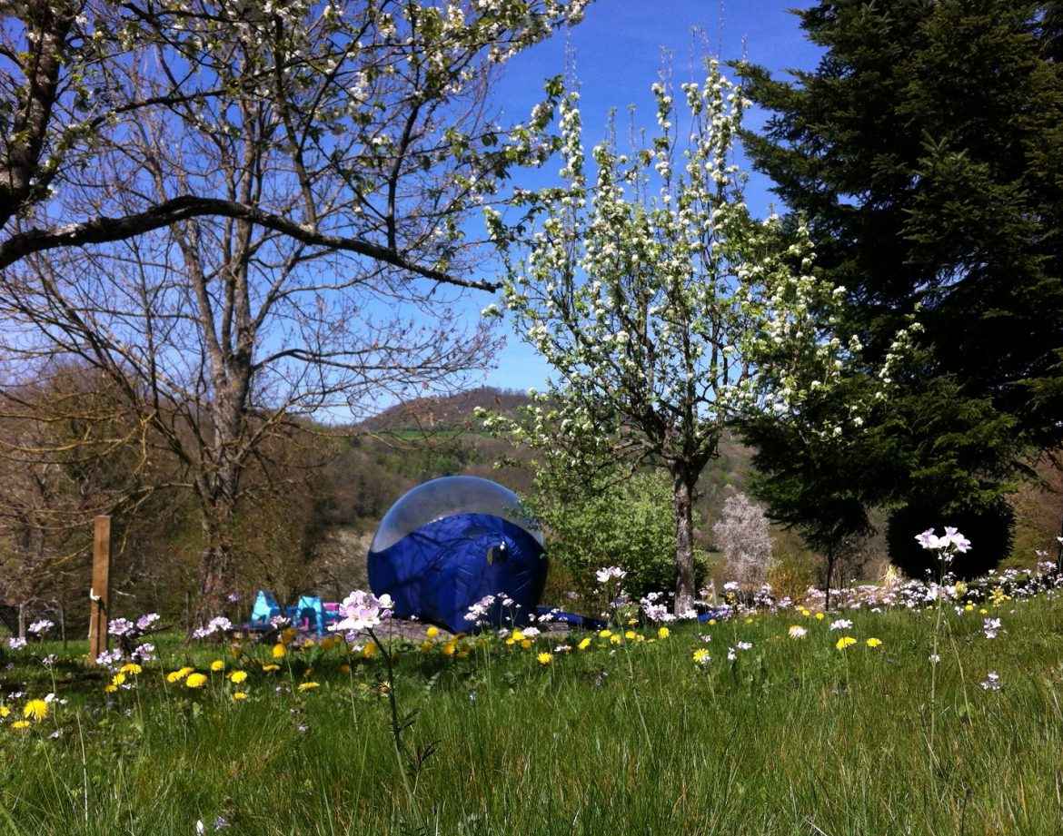 Hébergement insolite en bulle transparente, entouré de fleurs et arbres en Auvergne.