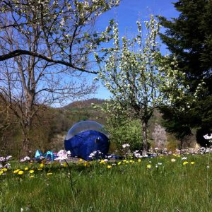 Hébergement insolite en bulle transparente, entouré de fleurs et arbres en Auvergne.
