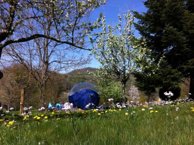 Hébergement insolite en bulle transparente, entouré de fleurs et arbres en Auvergne.