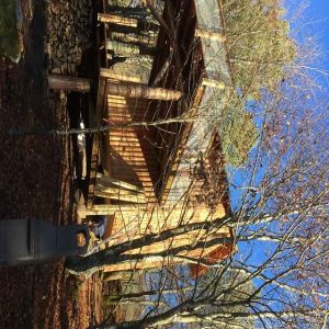Cabane en bois perchée, entourée darbres, offrant une vue dégagée sur la nature.