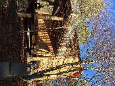 Cabane en bois perchée, entourée darbres, offrant une vue dégagée sur la nature.