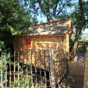 Cabane perchée en bois, entourée darbres, avec une vue dégagée sur la nature.