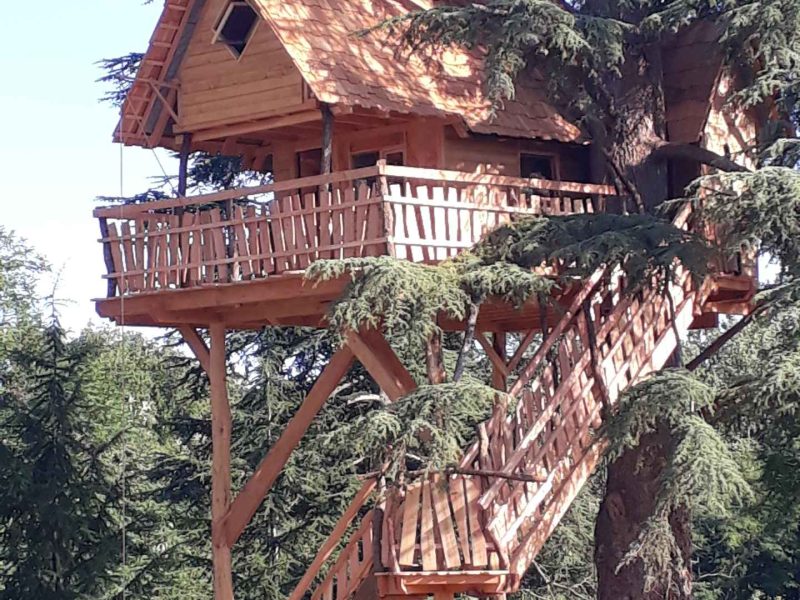 Cabane dans les arbres en bois, perchée sur un grand cèdre, avec une terrasse accueillante.