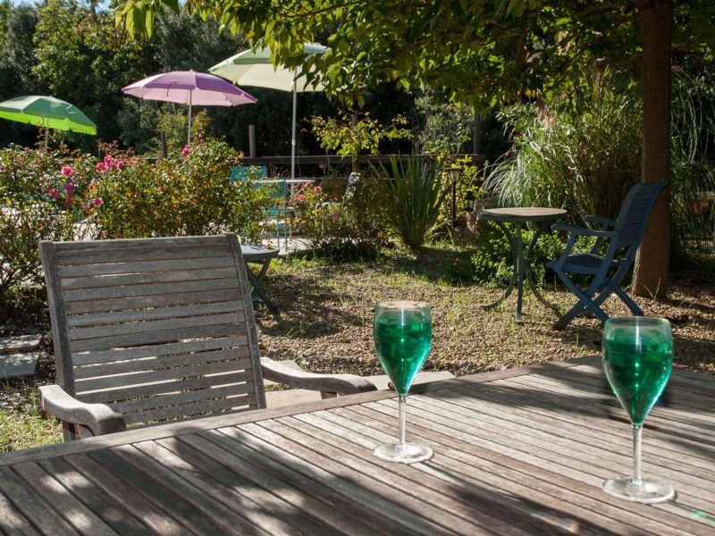 Chalet en pleine nature avec des cocktails verts sur une table en bois, entouré de parasols.