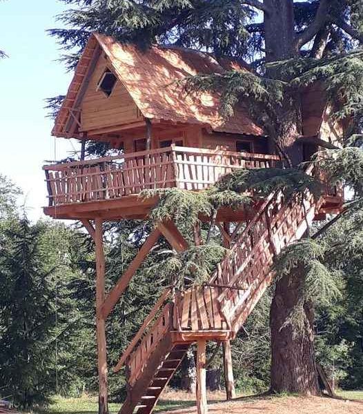 Cabane dans les arbres en bois, perchée sur un grand cèdre, avec une terrasse accueillante.