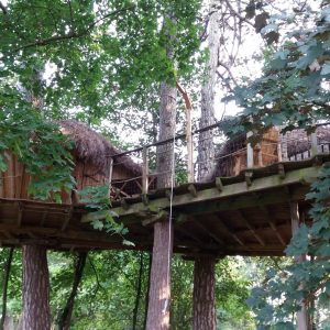Cabane perchée en bois dans les arbres, entourée de verdure luxuriante en Bourgogne.