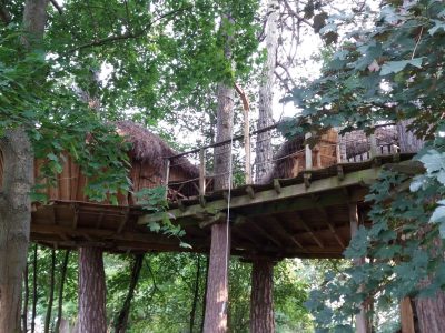 Cabane perchée en bois dans les arbres, entourée de verdure luxuriante en Bourgogne.