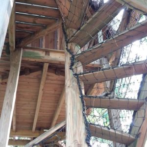 Cabane dans les arbres en Bourgogne, avec un escalier en bois et des filets de protection.